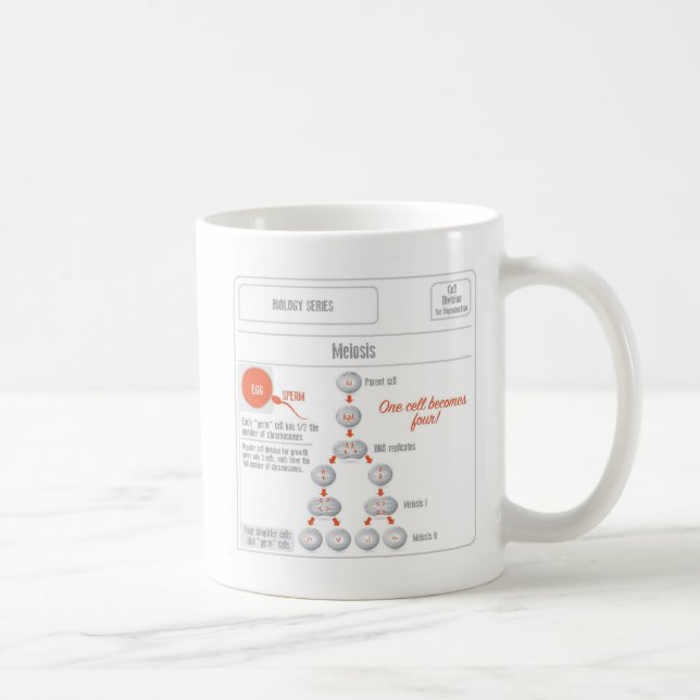 Café Caneca da cariocinese dos produtos de EduPaper e (Direita)
