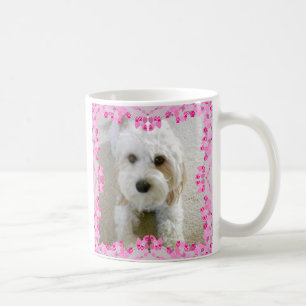 Café Caneca da foto de Cavachon, foto personalizada do