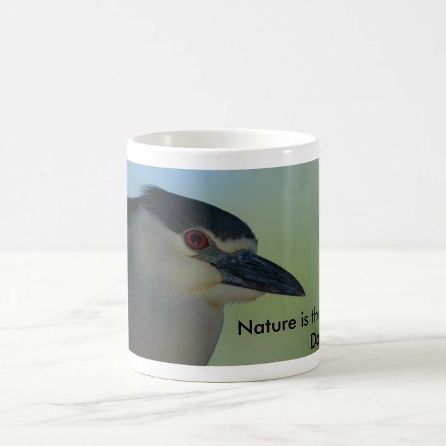 Café Caneca da garça-real de noite (Centro)