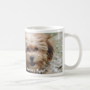Café Caneca da regra de Morkie