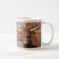 Caneca da vaca de Salers