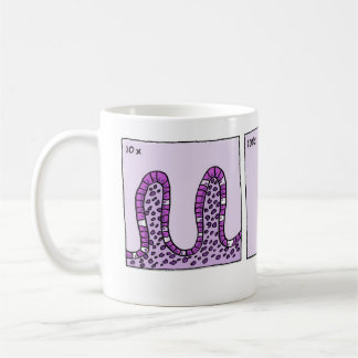 Café caneca de 1000x Immunohistochemistry