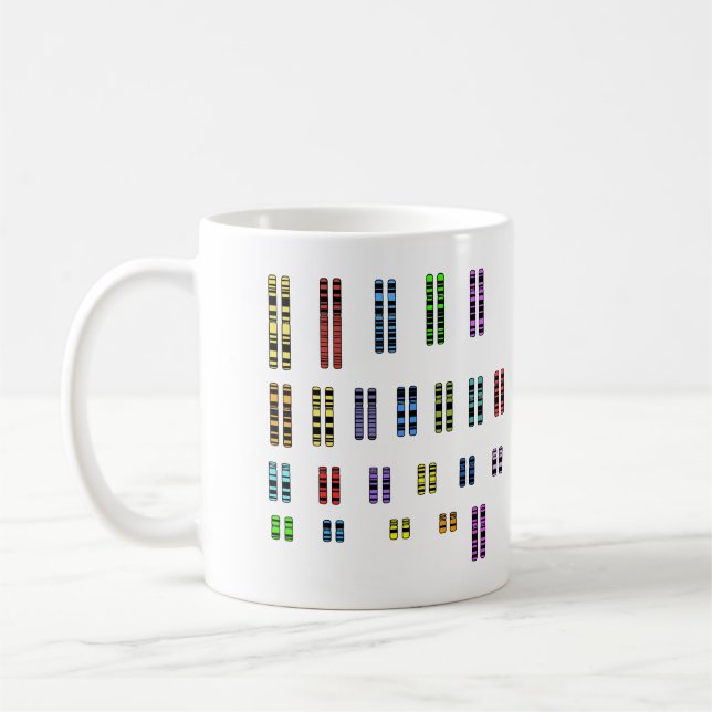 Café Caneca de 46 Karyotype (Esquerda)