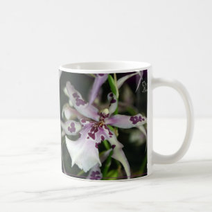 Café Caneca de Beallara da orquídea