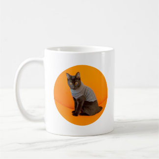 Café Caneca de Beverly