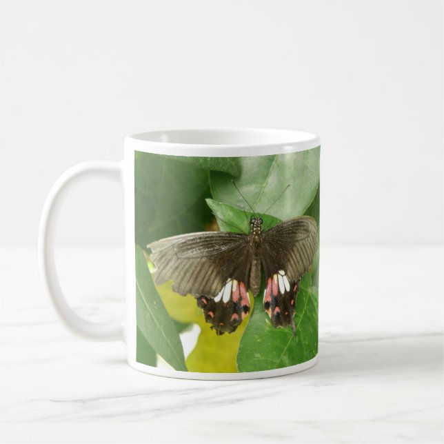 Café Caneca de Borboleta Rabo de Andorinha Escarlate (Esquerda)