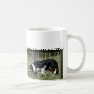 CAFÉ CANECA DE BORDER COLLIE