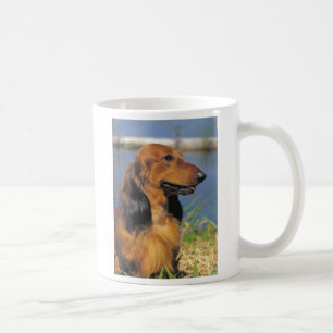 Café caneca de cabelos compridos vermelha do dachshund