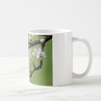 Café Caneca de café:  Prazer você mesmo no senhor