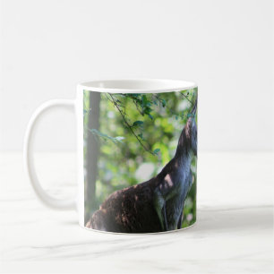Café Caneca de canguru