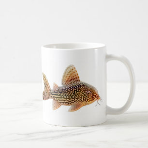 Café Caneca de Corydoras Sterbai
