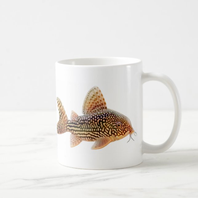 Café Caneca de Corydoras Sterbai (Direita)