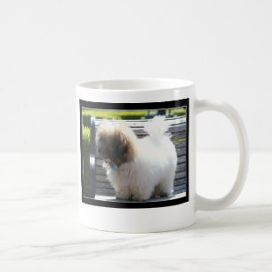 Café Caneca de de Tulear Filhote de cachorro do algodã