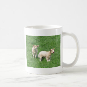 Café Caneca de dois cordeiros