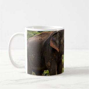 Café Caneca de Elefante do Parque Nacional de Yala - Vi