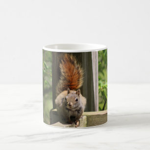 Café caneca de esquilo