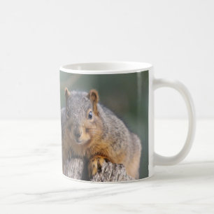Café caneca de esquilo