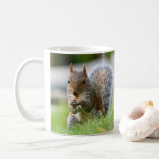 Café Caneca de esquilo - esquilo de cinza adorável