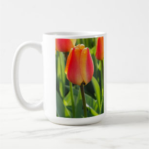 Café Caneca de Foto de Tulipa Laranja
