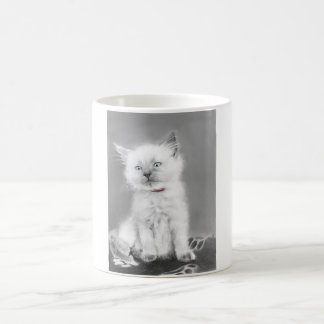 Café Caneca de Gatinho Fofo