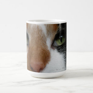Café Caneca de gato Calico