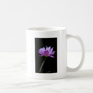 Café Caneca de lírio d'água Roxo