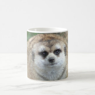 Café Caneca de Meerkat