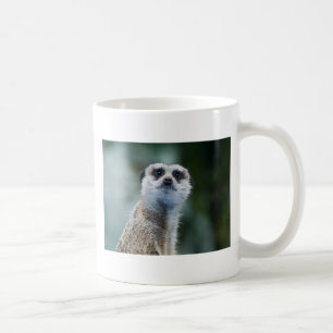 Café Caneca de Meerkat
