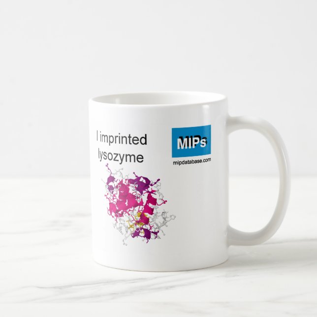 Café caneca de modelo de lisozima (Direita)