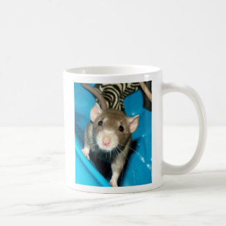 Café Caneca de Noah