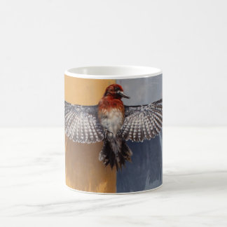 Café Caneca de peito encarnado do Sapsucker