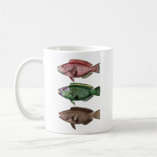 Café Caneca de Peixe-Papagaio