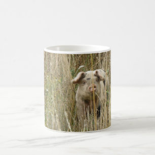 Café Caneca De Porco Bonita