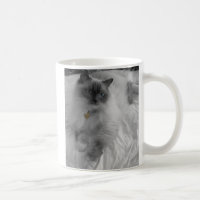 Caneca de Ragdoll