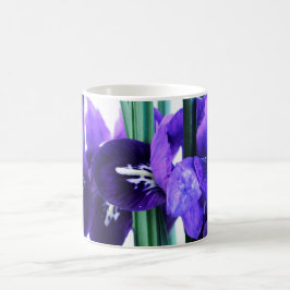 Café Caneca de Reticulata da íris