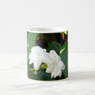 Café Caneca de Sampaguita