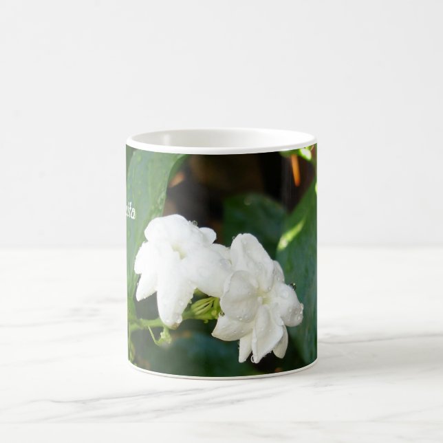 Café Caneca de Sampaguita (Centro)