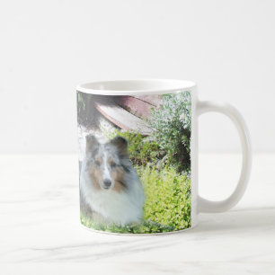 Café Caneca de Sheltie