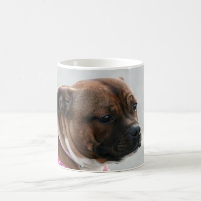 Café Caneca de Staffordshire bull terrier (Centro)