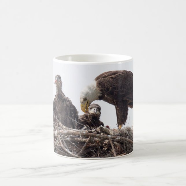 Café Caneca de SWFL EagleCam M15 E7 E8 (Centro)