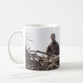 Café Caneca de SWFL EagleCam M15 E7 E8