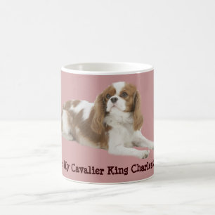Café Caneca descuidado do Spaniel de rei Charles