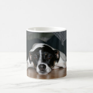 Café Caneca do cão de Terrier de rato de "Molli"