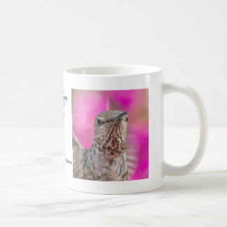Café Caneca do colibri de Anna fêmea