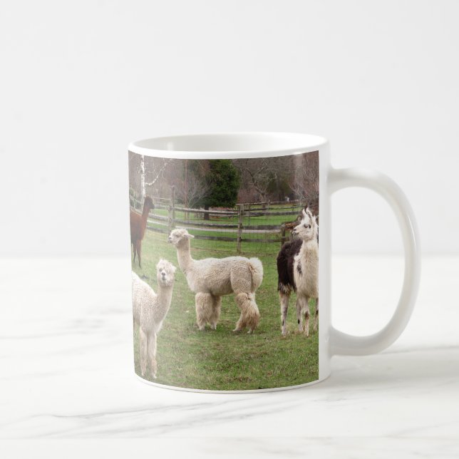 Café Caneca do ~ do fio de mescla da alpaca (Direita)