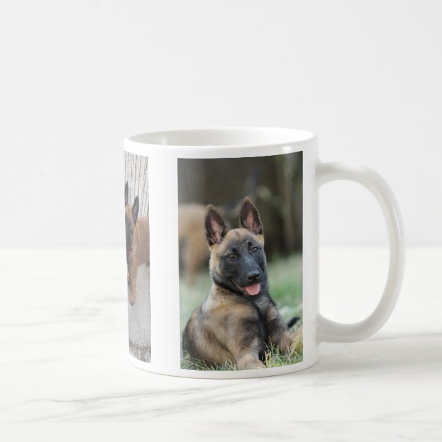 Café Caneca do filhote de cachorro de Malinois do belga (Direita)