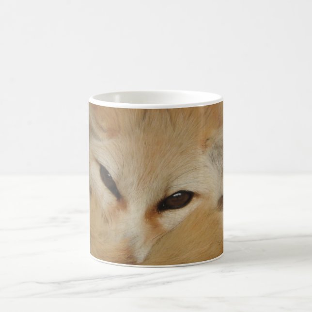 Café Caneca do Fox de Fennec (Centro)