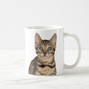 Café Caneca do gatinho de Bengal