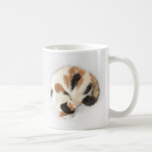 Café Caneca do gato de chita do sono