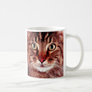 Café Caneca do gato de gato malhado de Brown